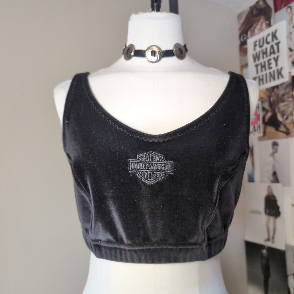 Velvet Embroidered Bralette Harley Crop Top